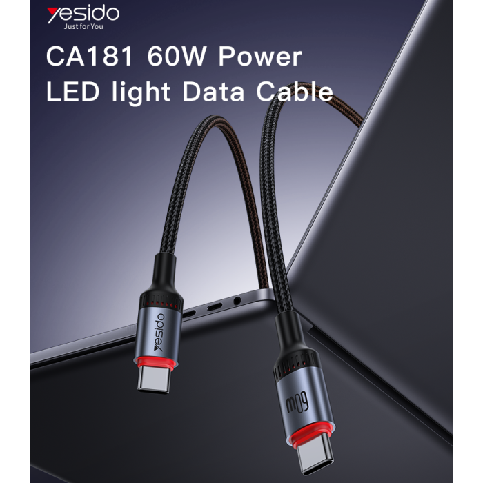 CA181 Type-C To Type-C 60W Fast Charging Data Cable