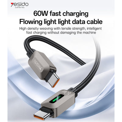 CA198 Type-C To Type-C 60W Fast Charging Data Cable